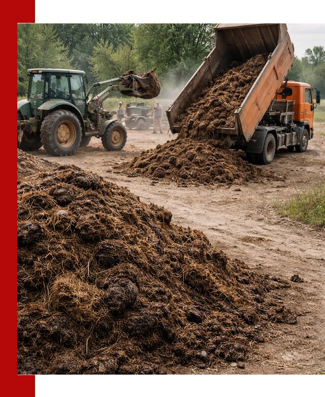 Доставка навоза самосвалами в Златоусте для сельхозпотребностей